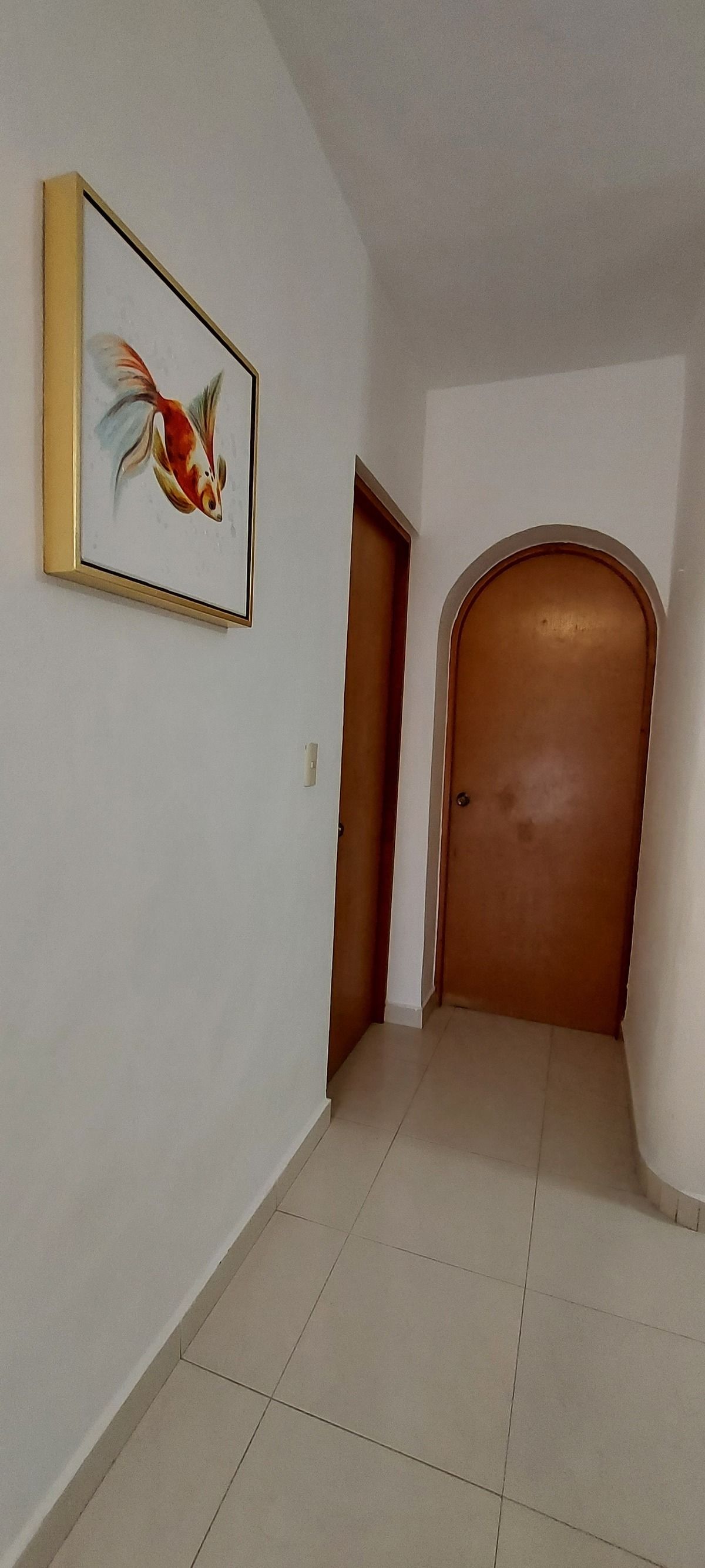 5 de 29