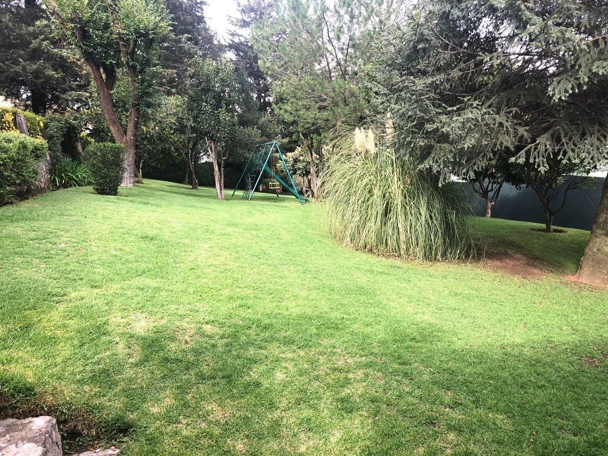 23 de 38: jardín comunal