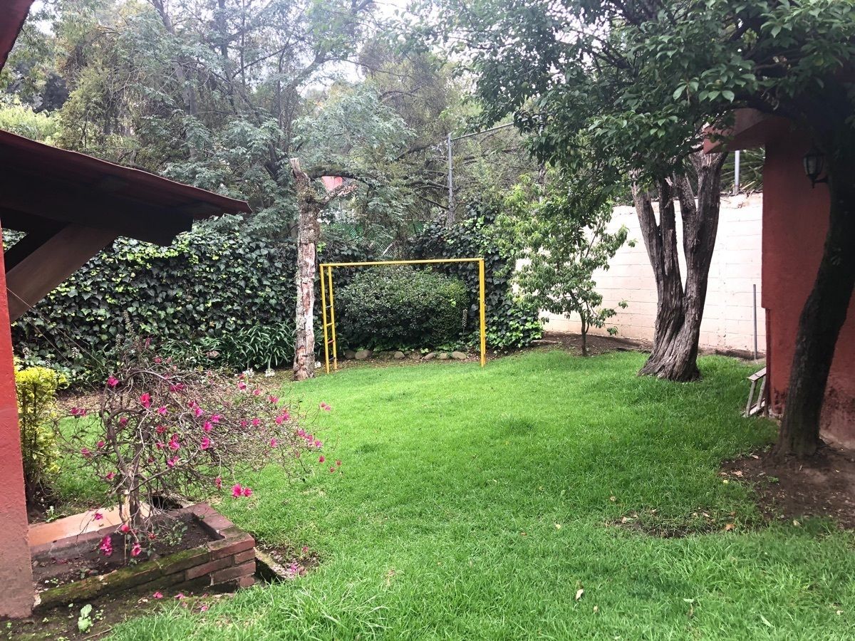 33 de 38: Jardín privado