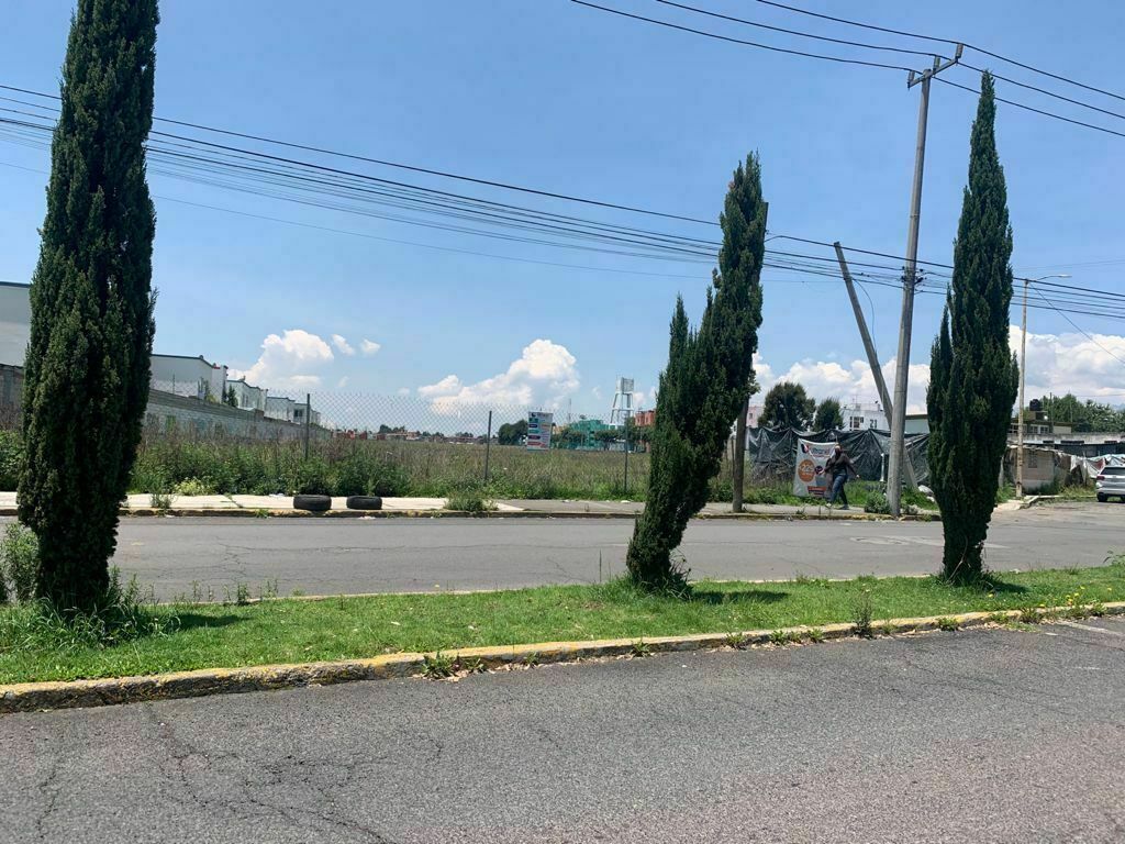 Imagen 3 de 6