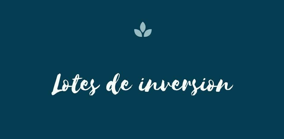 1 de 6