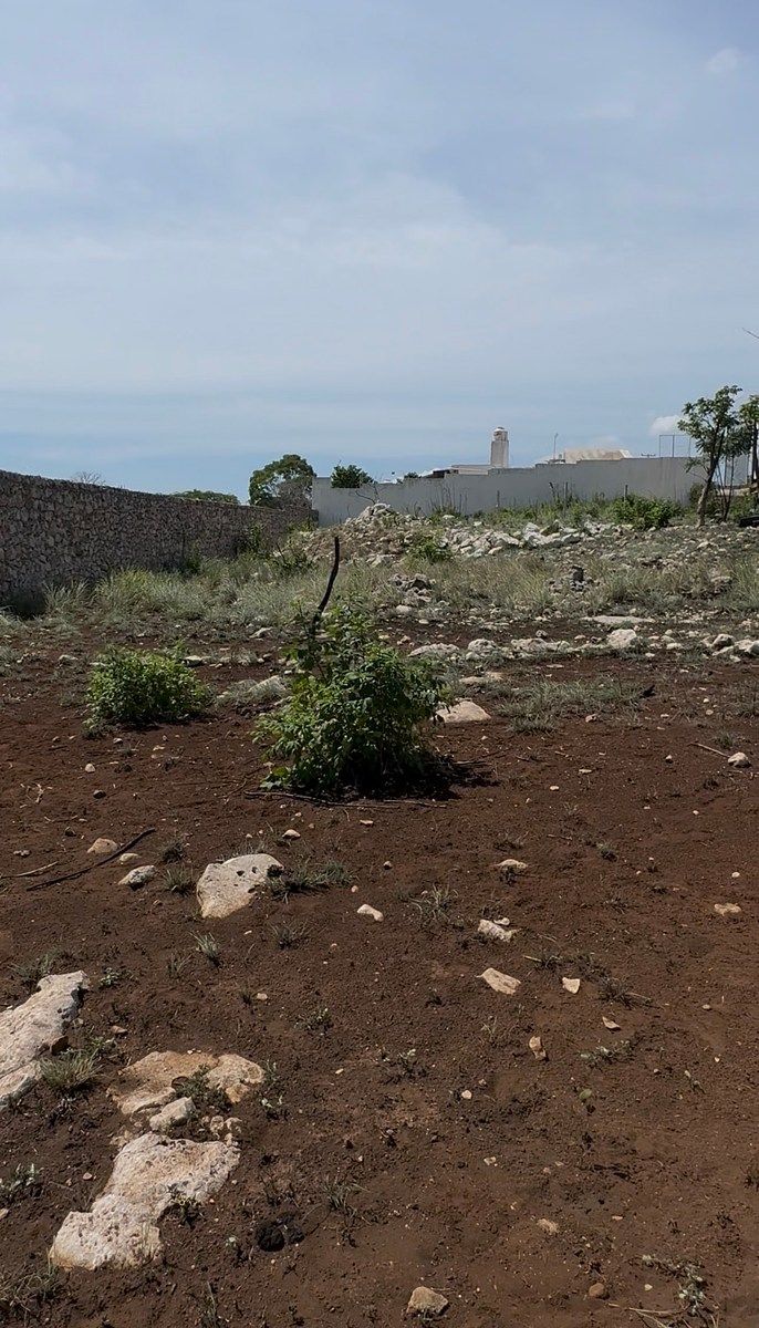 Terreno en Santa Inés, Berriozábal, foto 7 de 10