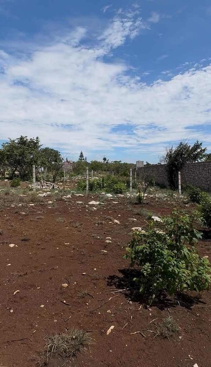 Terreno en Santa Inés, Berriozábal, foto 8 de 10