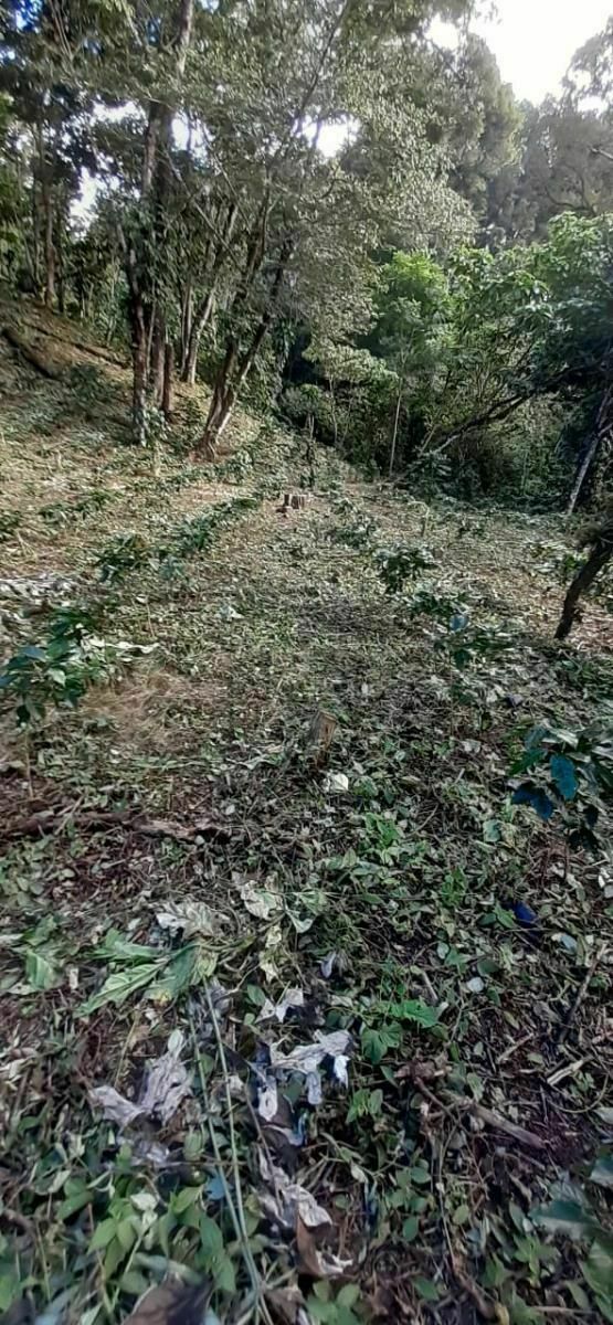 Rancho en Plan de La Libertad, La Concordia, foto 9 de 25