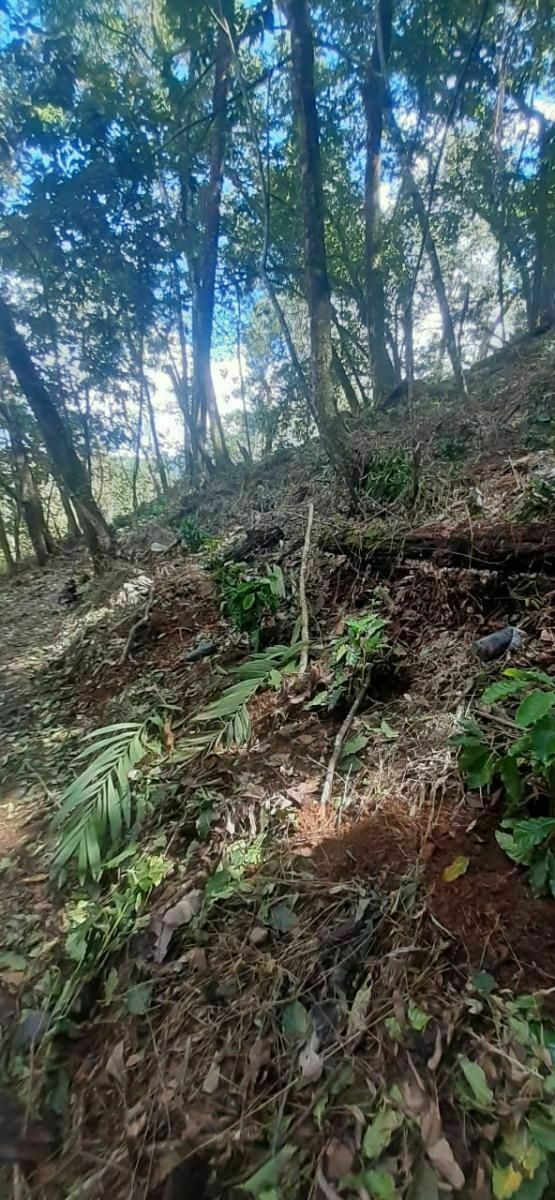 Rancho en Plan de La Libertad, La Concordia, foto 10 de 25