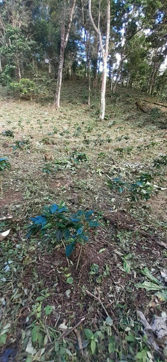 Rancho en Plan de La Libertad, La Concordia, foto 18 de 25