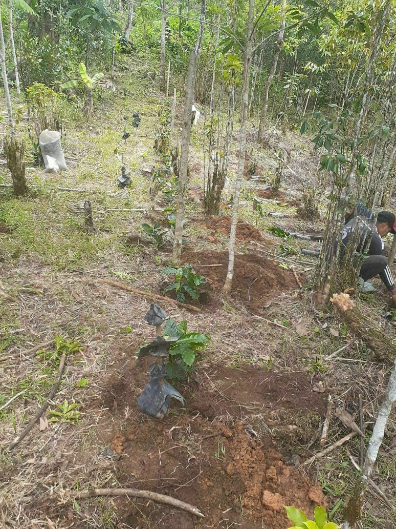 Rancho en Plan de La Libertad, La Concordia, foto 19 de 25
