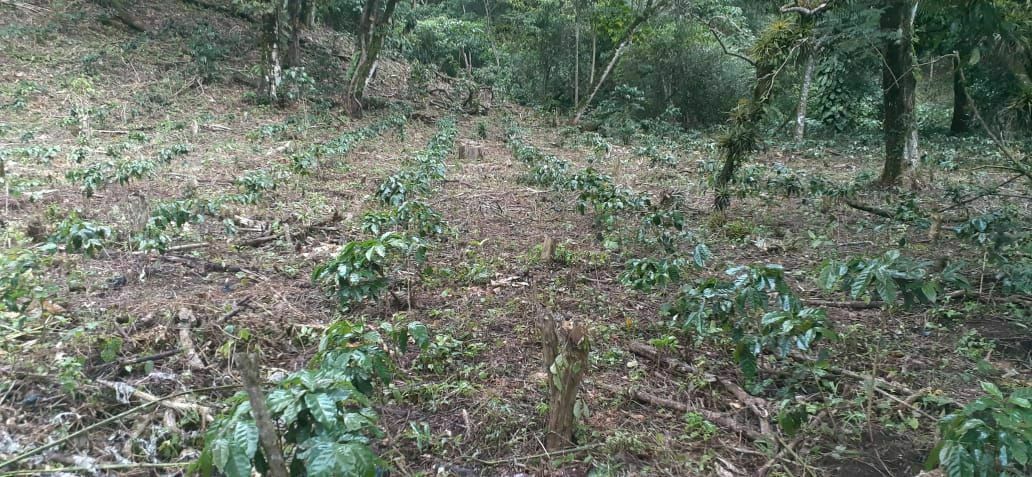 Rancho en Plan de La Libertad, La Concordia, foto 21 de 25
