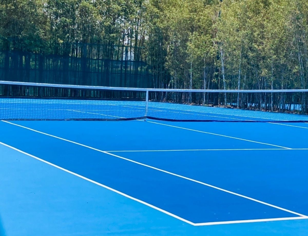 40 de 44: Canchas de tenis
Tennis courts