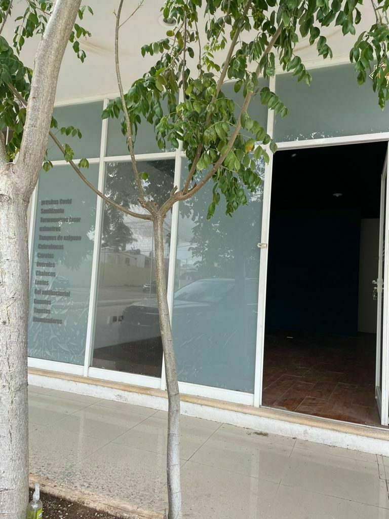 2 de 6