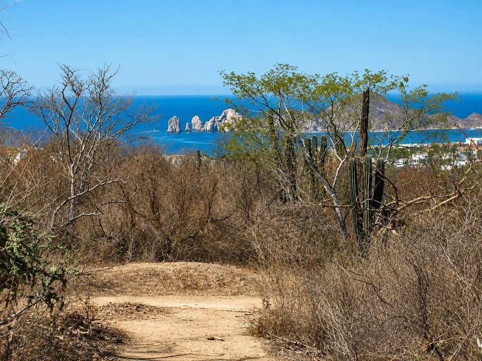 Terreno en El Tezal, Los Cabos, foto 12 de 15