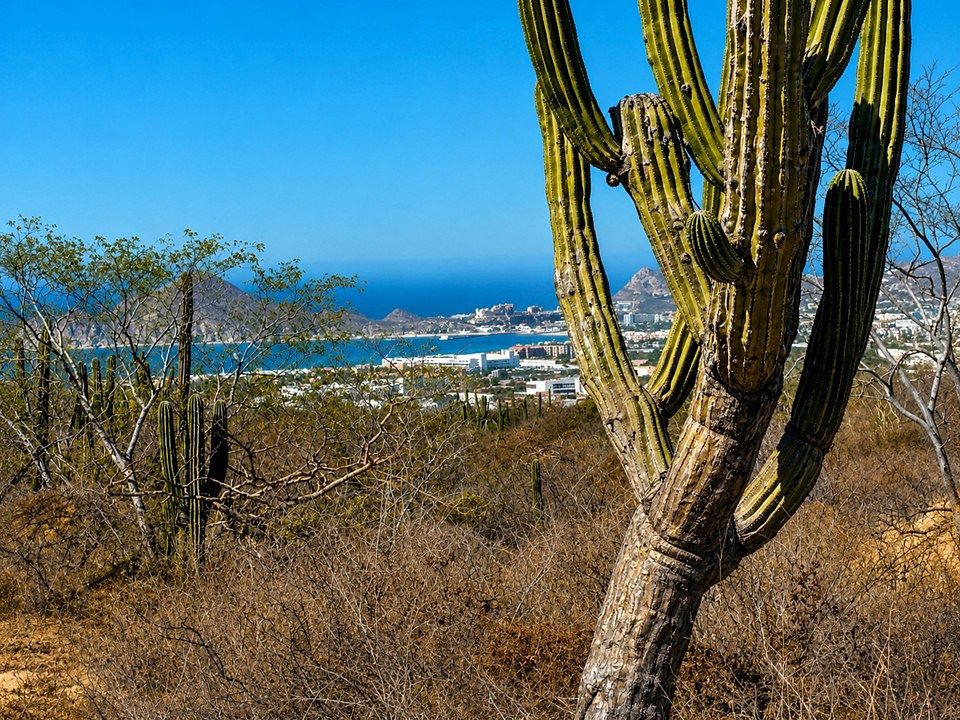 Terreno en El Tezal, Los Cabos, foto 14 de 15