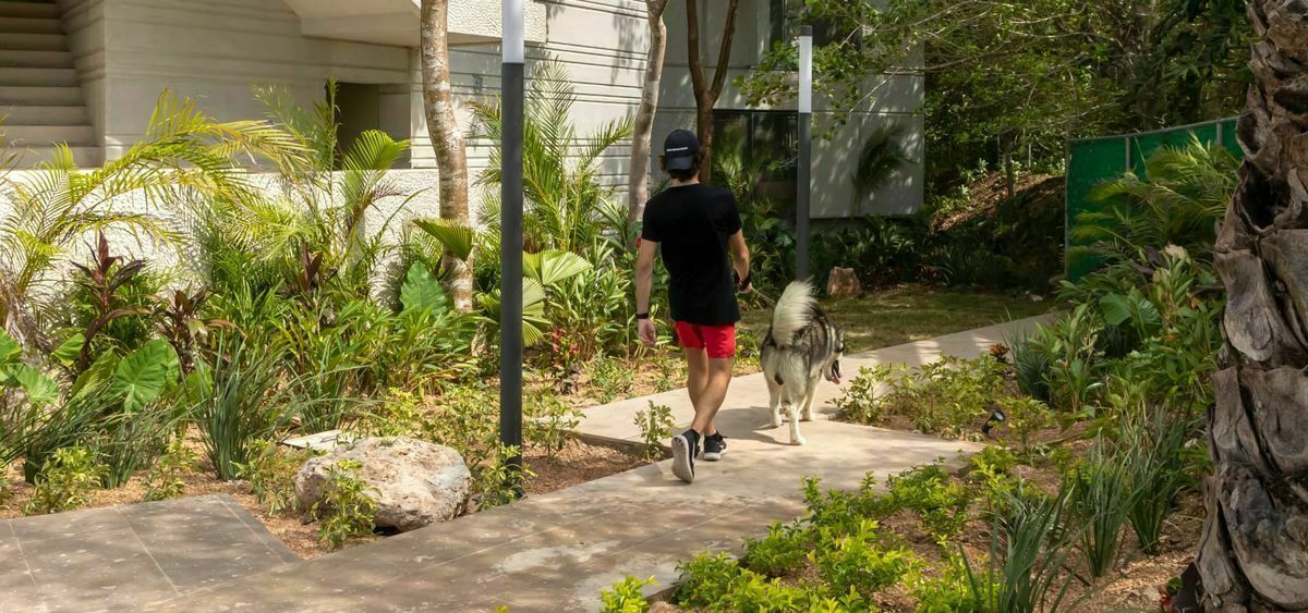 38 de 42: Parque para mascotas
