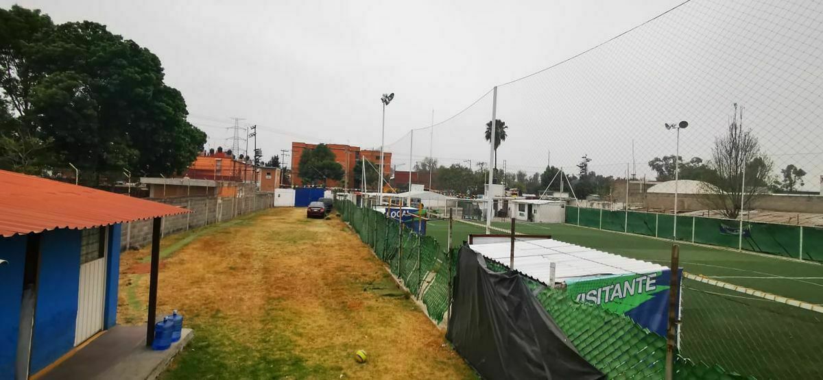 Imagen 3 de 7
