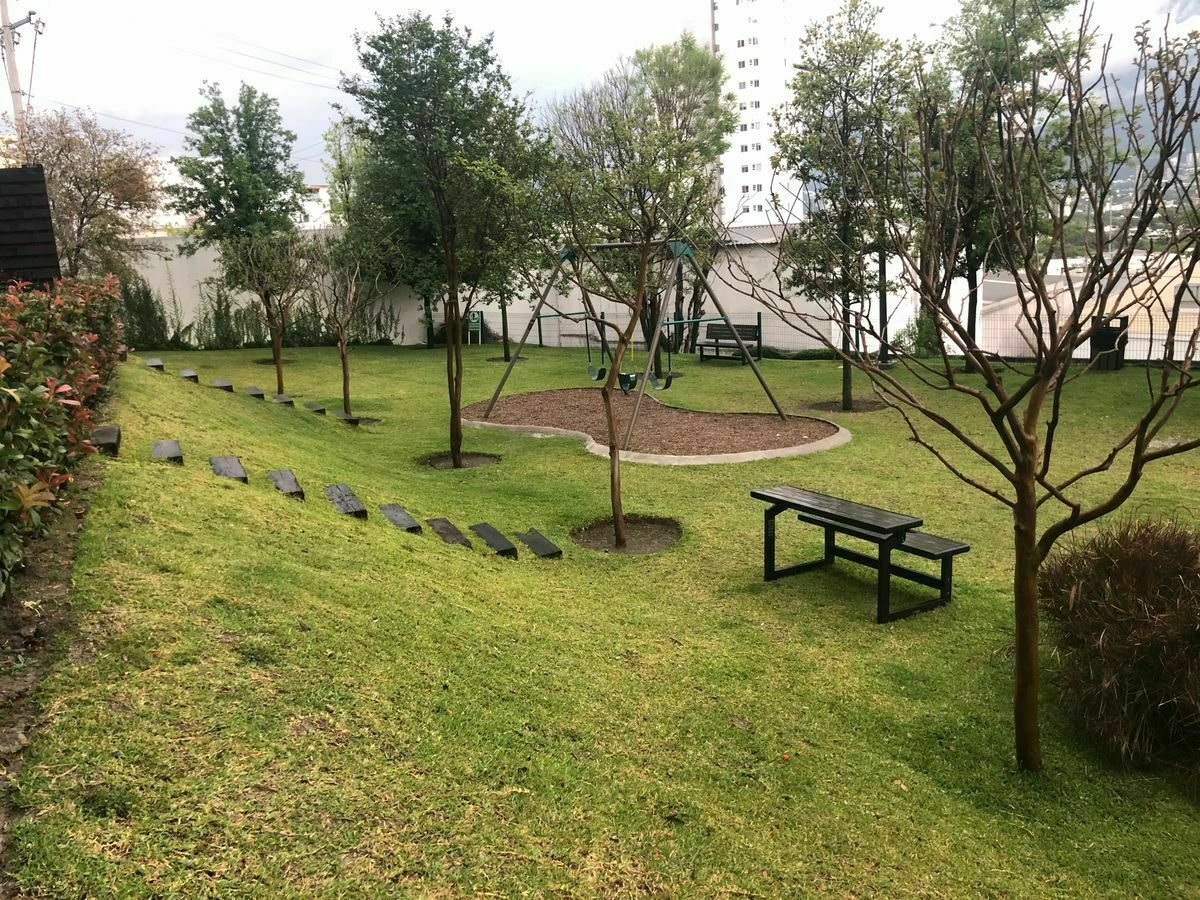 20 de 24