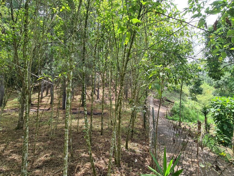 5 de 6