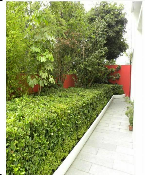 Casa en Lomas de Chapultepec I Sección, Miguel Hidalgo, foto 5 de 6