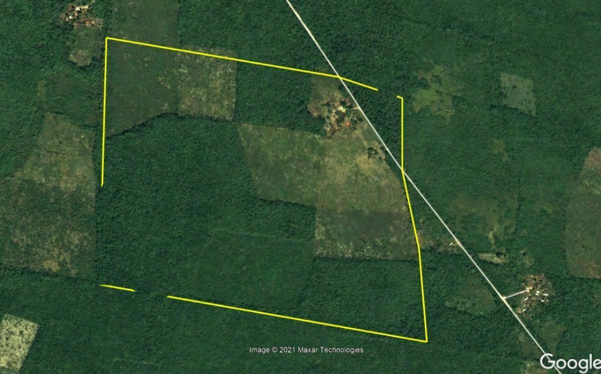 Terreno de 63 Hectáreas en Chemax, Yucatán para uso ganadero o agrícola - foto 4