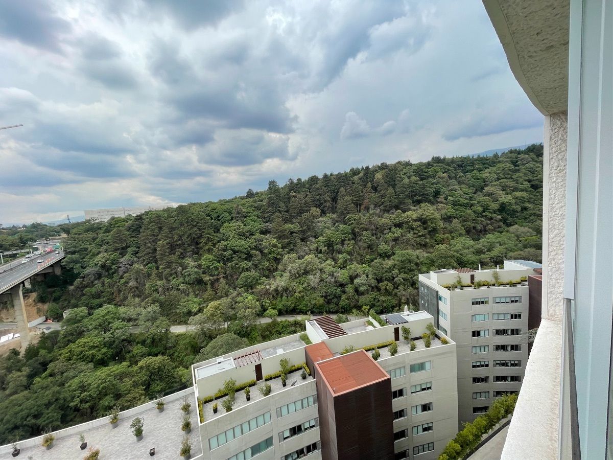 25 de 25: Vista al bosque