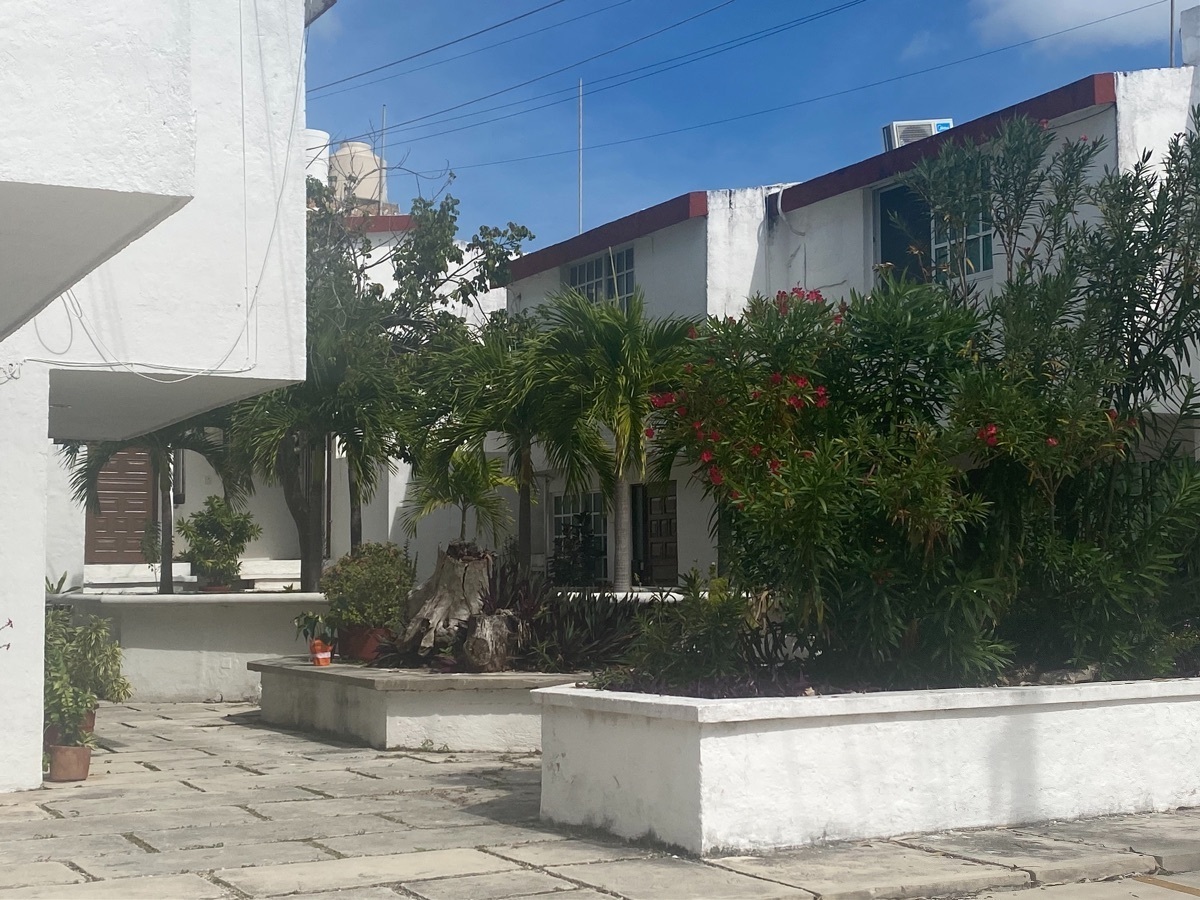 3 de 12