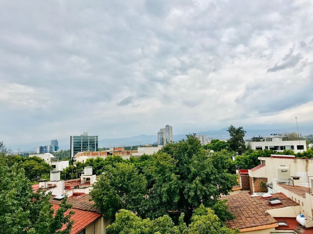 5 of 28: Vista desde el Roof Garden.