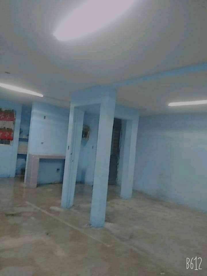 4 de 6
