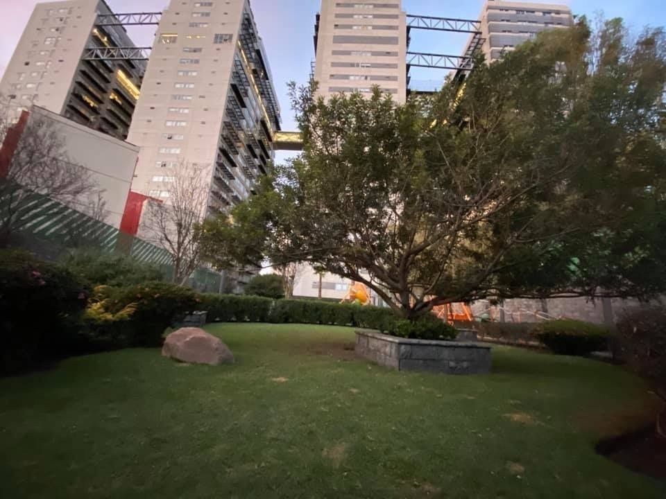11 de 24: Jardín central 