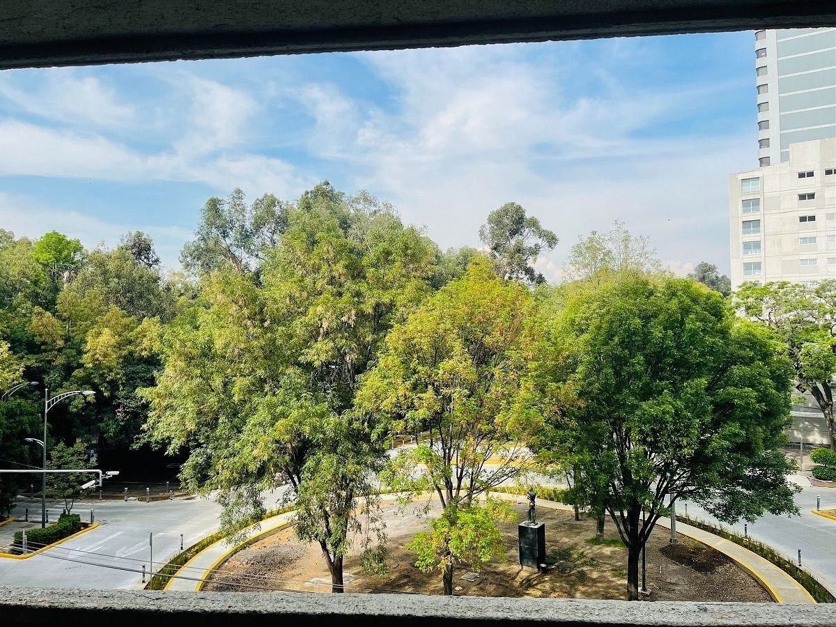 Apartamento em Polanco I Sección, Miguel Hidalgo, foto 4 de 29