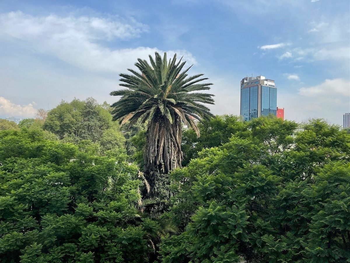 Apartamento em Polanco I Sección, Miguel Hidalgo, foto 11 de 29