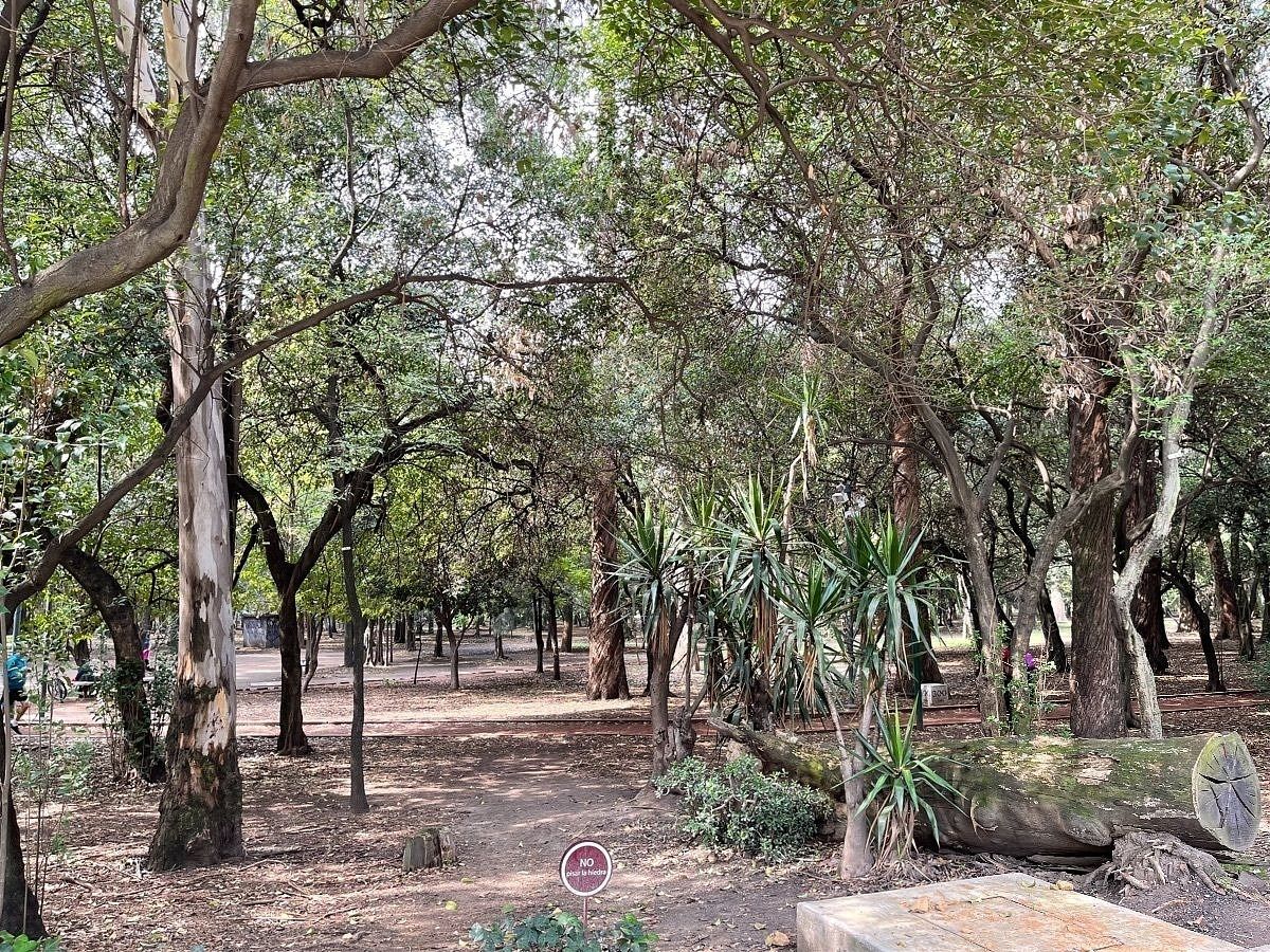 Apartamento em Polanco I Sección, Miguel Hidalgo, foto 29 de 29