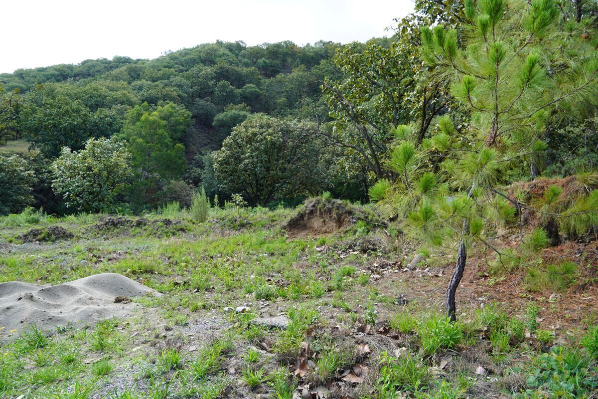 5 terrenos en venta en Diana natura residencial, Zapopan, Jalisco -  