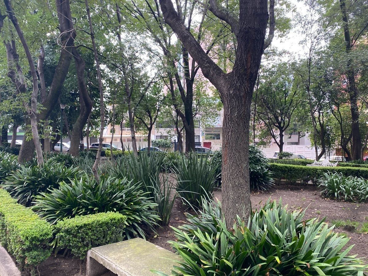 18 de 19: Parque al frente del departamento 