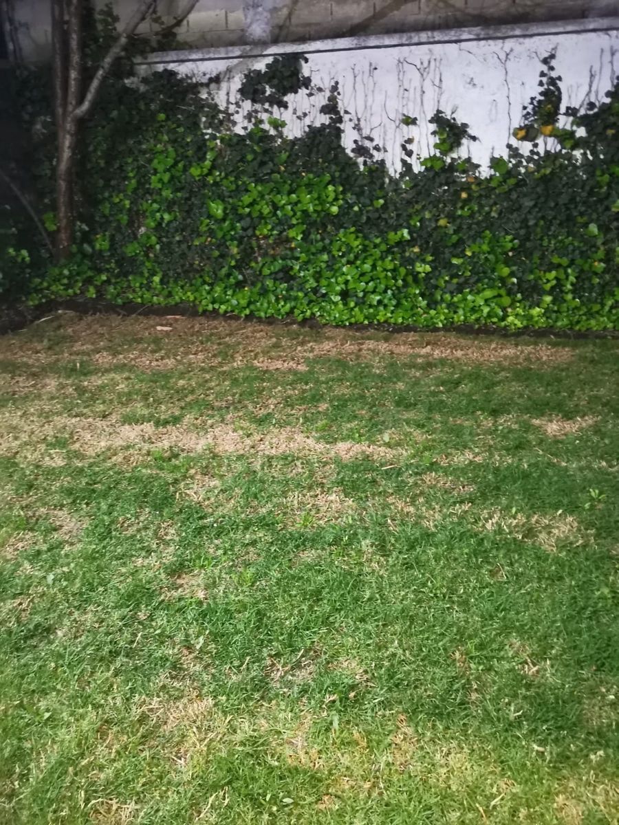 26 de 36