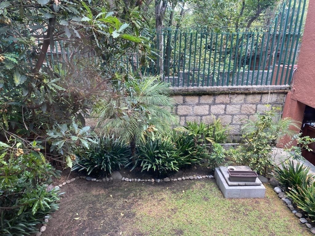 29 de 31: Jardín frontal