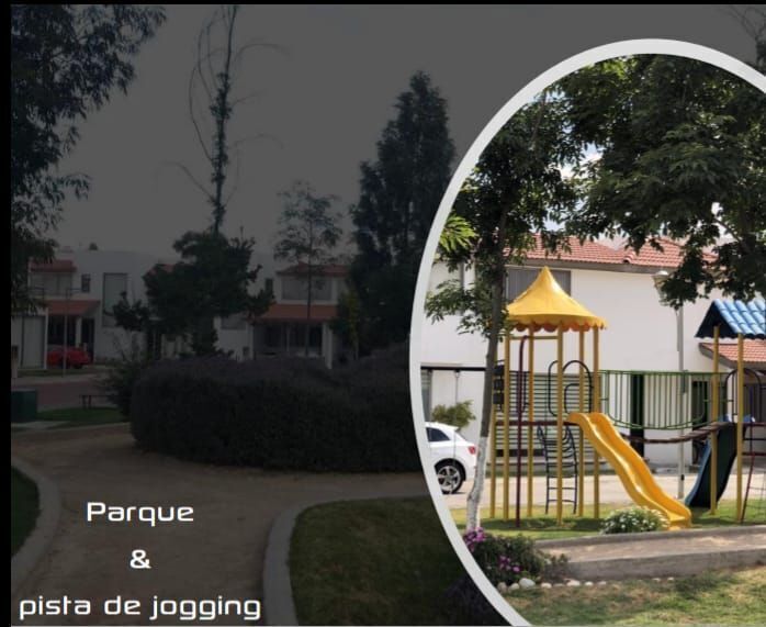 2 de 20