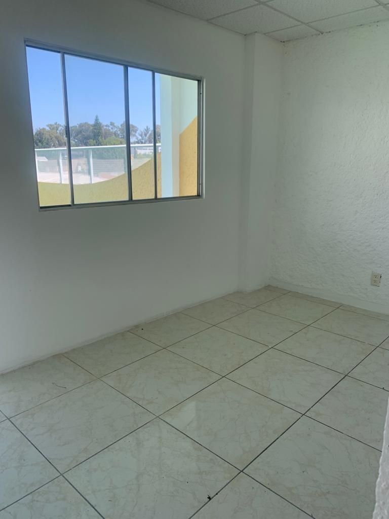 11 de 18