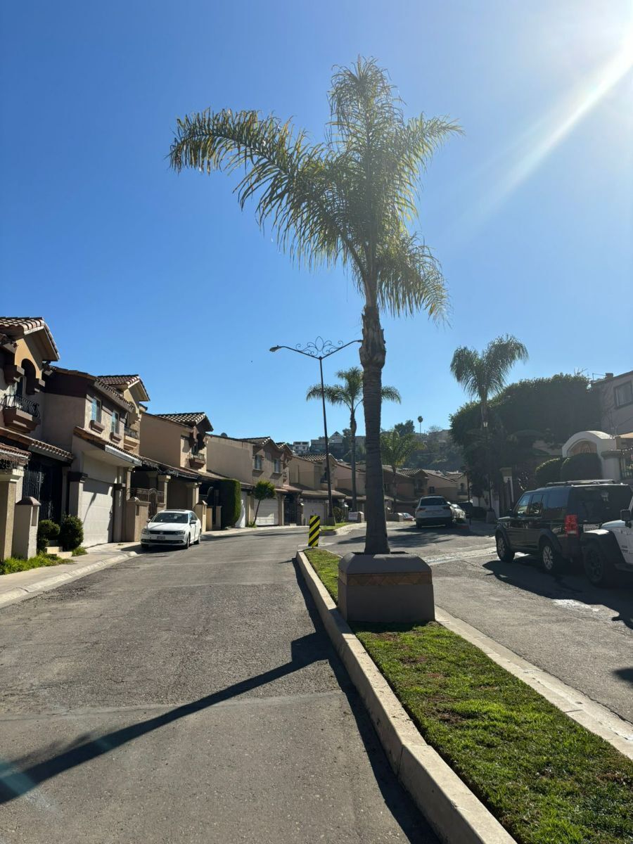 19 de 22: Área común