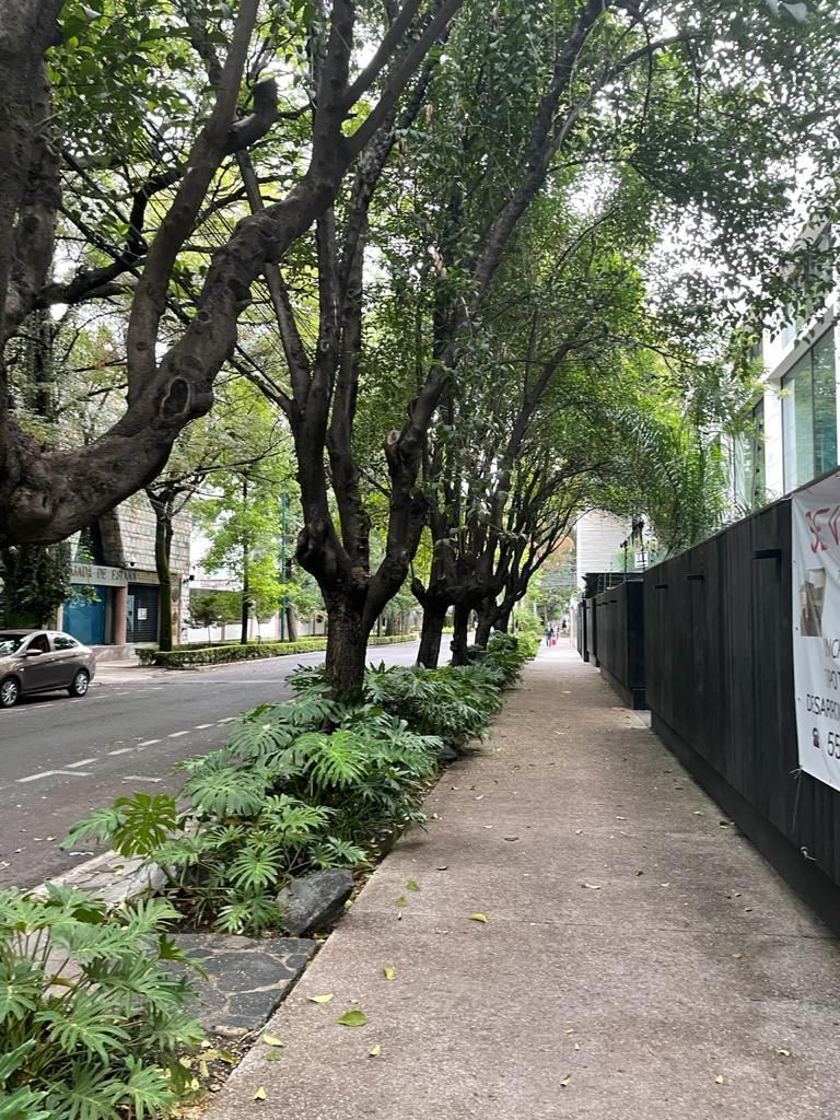 33 de 35