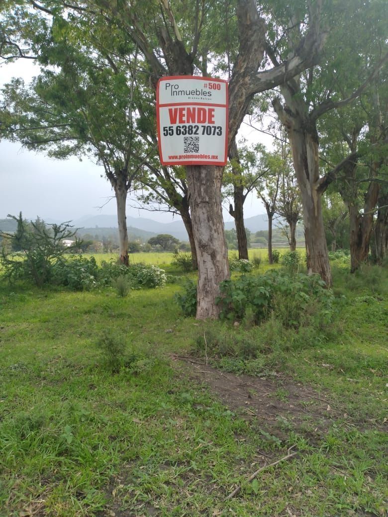 4 de 8