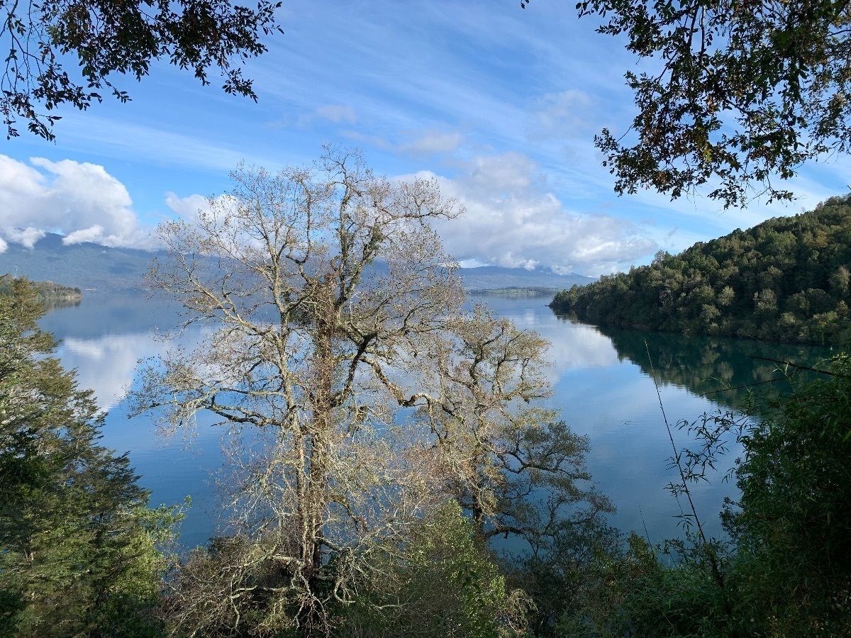 2 de 15: vista terraza