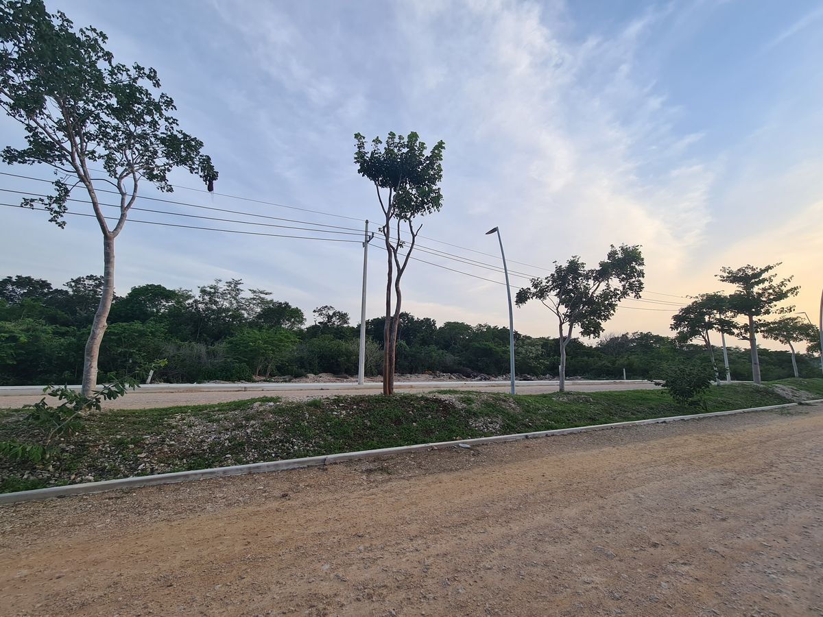 AllProperty - Sobre Avenida, Terrenos Urbanizados al Norte de Mérida en Cholul