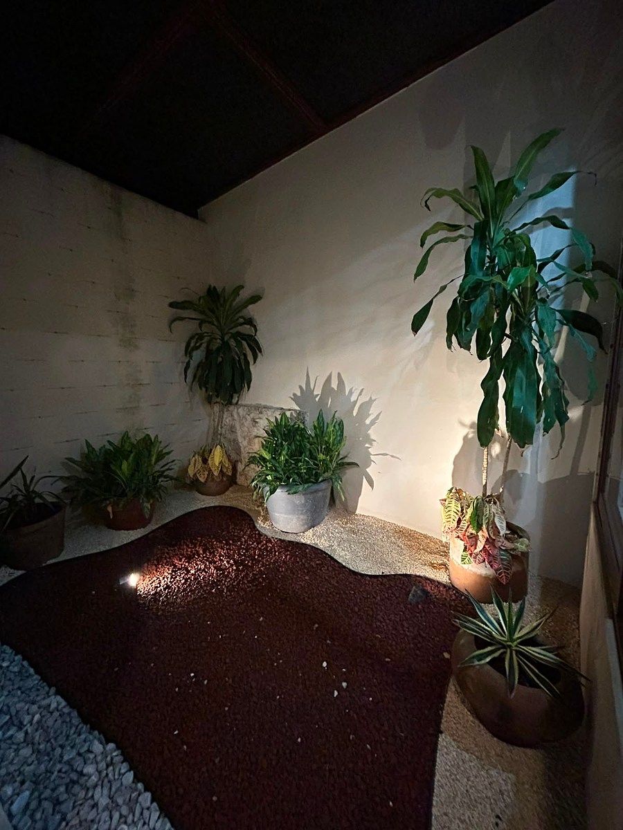 Casa en Mérida Centro, Mérida, foto 4 de 29