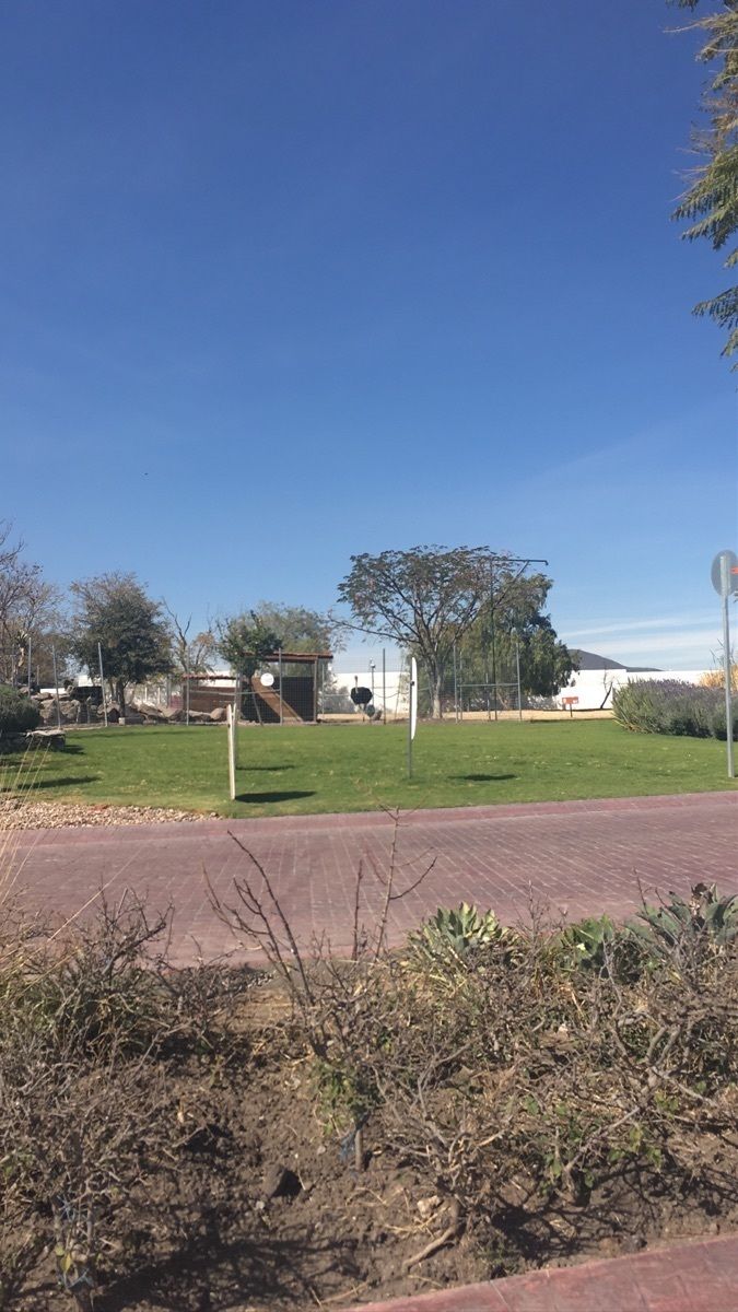 7 de 16