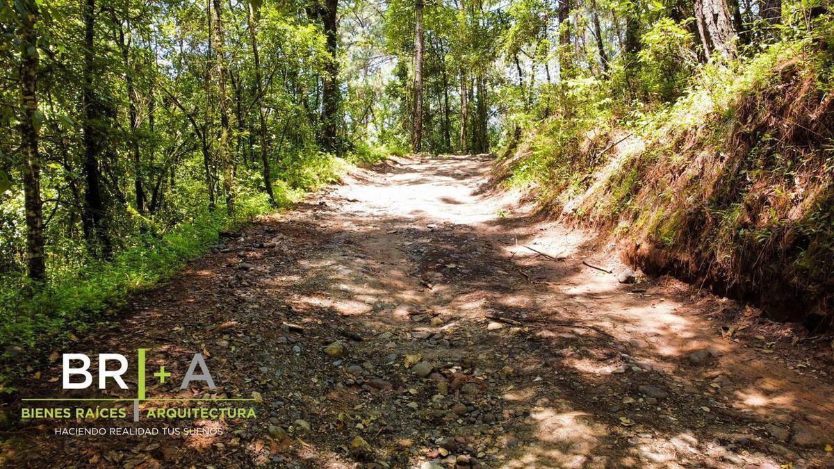 Terreno en venta a lado de rio en San Mateo Acatitlan VALLE DE BRAVO