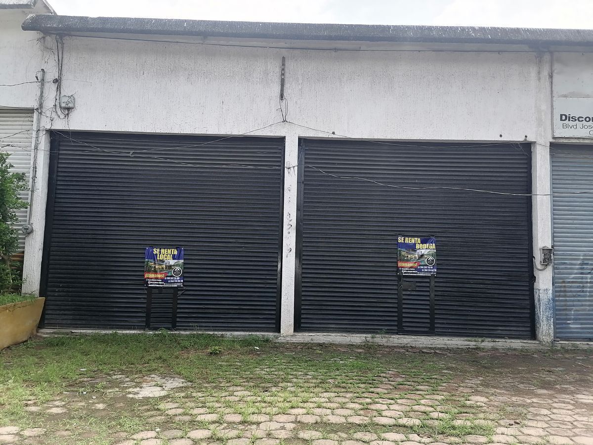 1 de 6