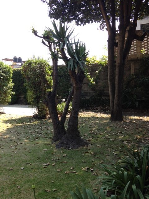 5 de 8