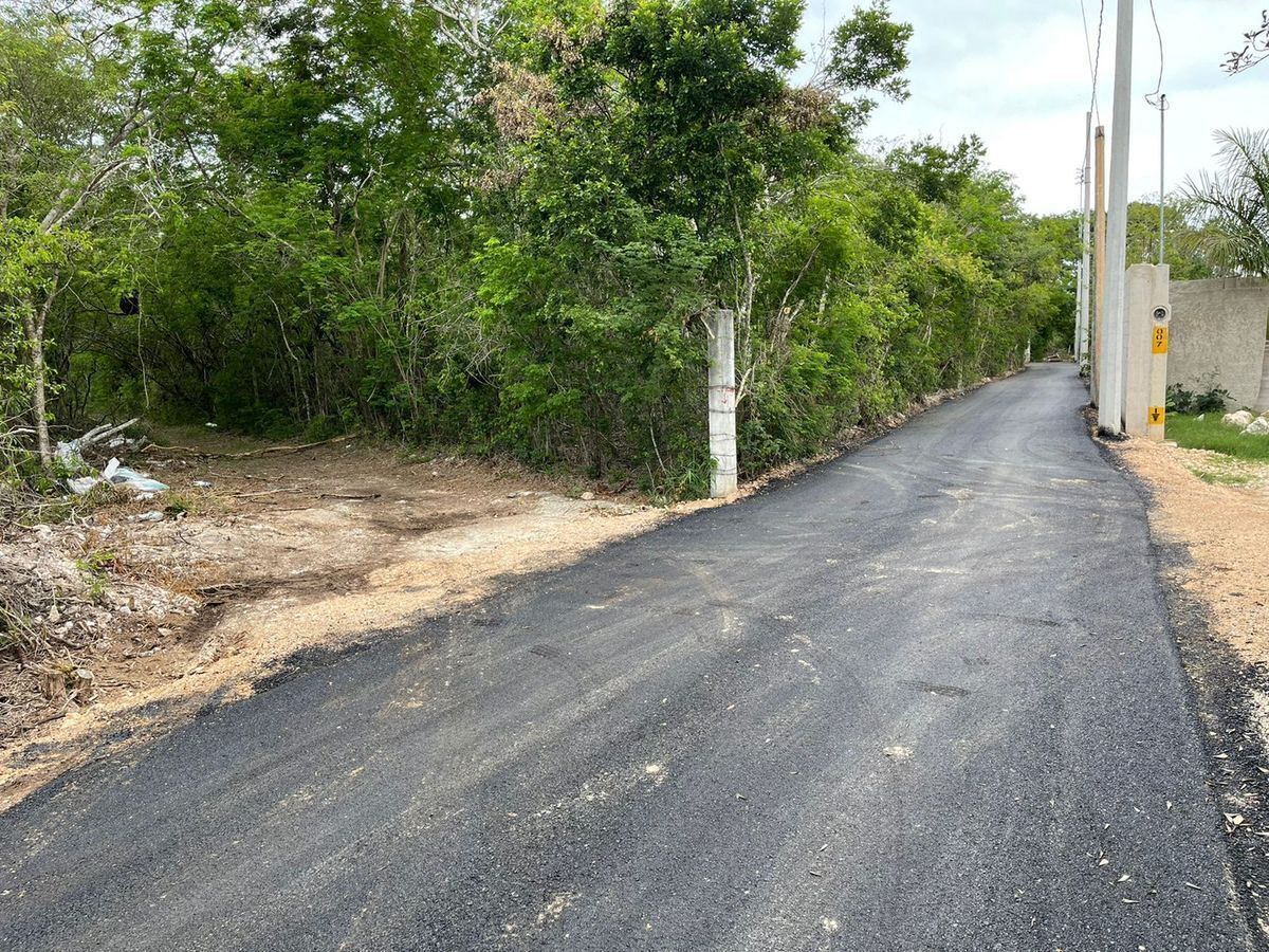 Terreno en venta de 8,000 m2 en Xcunya, Yucatán