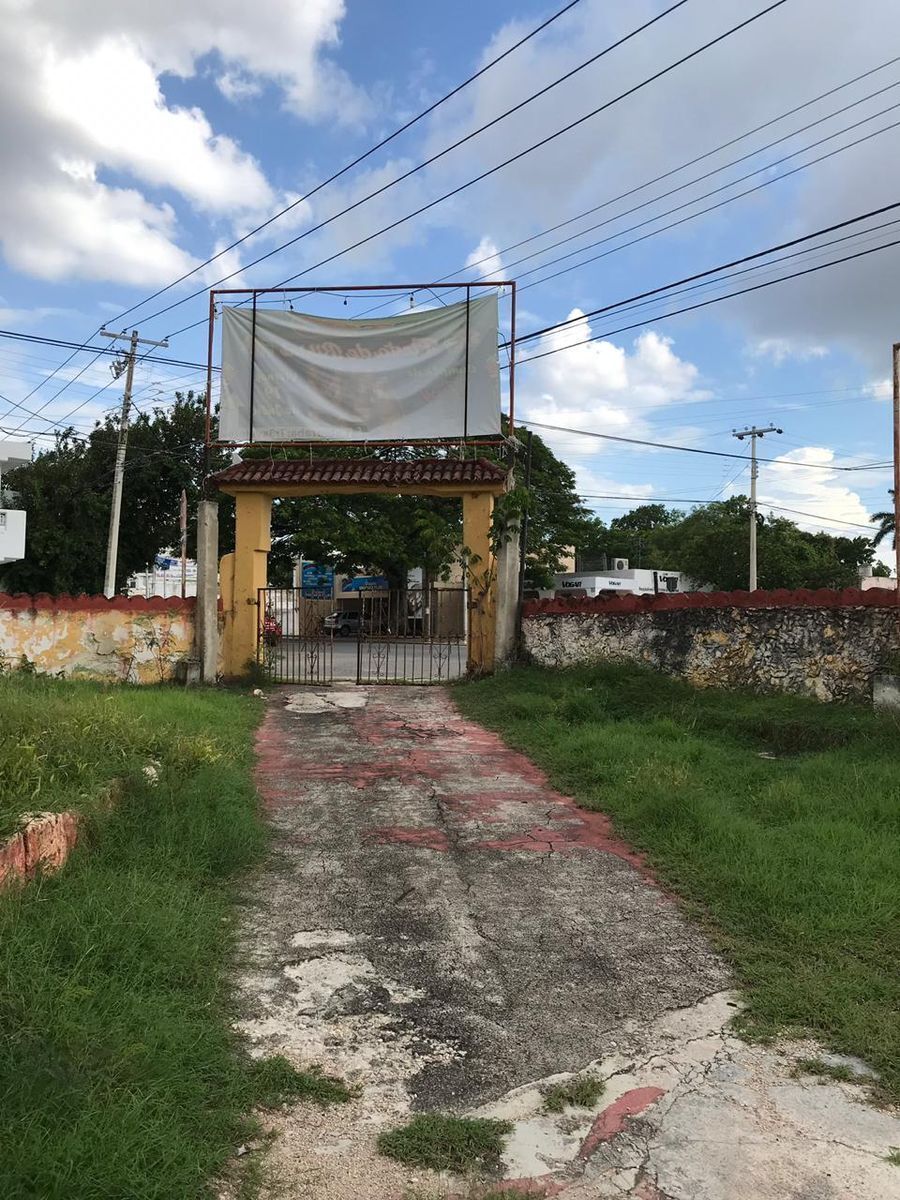 7 de 11
