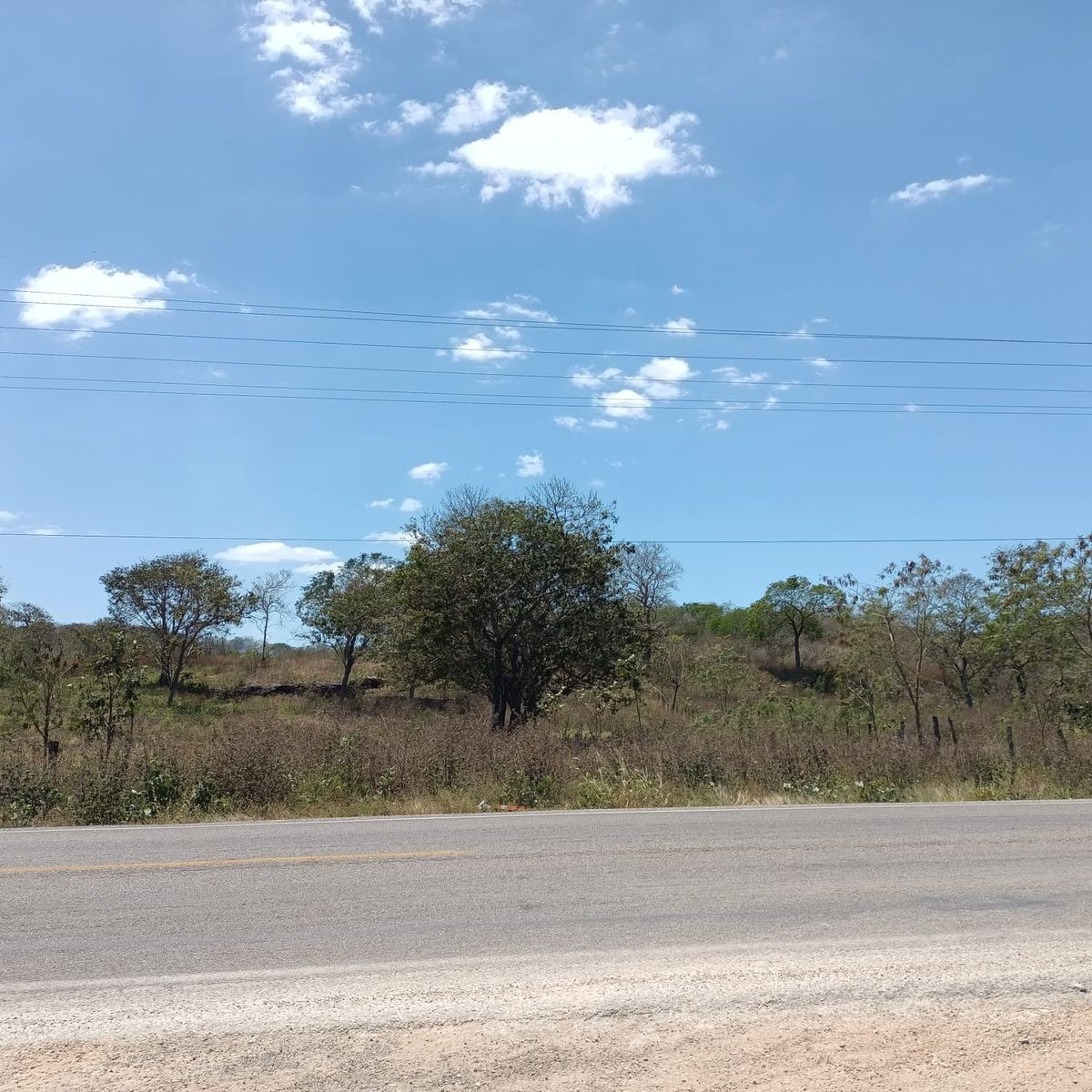 Terreno sobre carretera en Castamay Campeche.