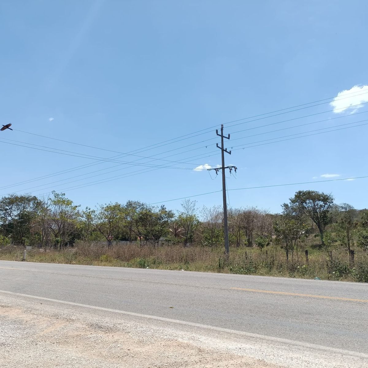 Terreno sobre carretera en Castamay Campeche.